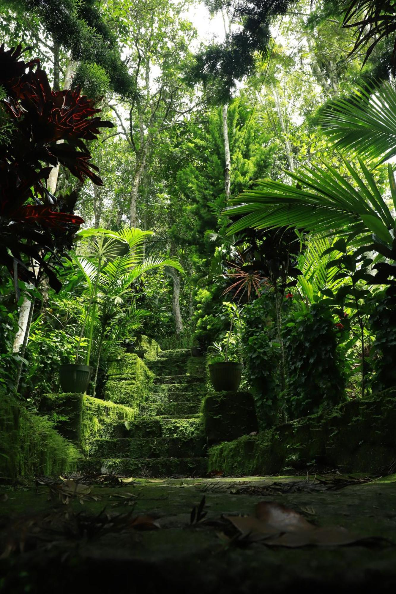 Nature Villa Anachal ภายนอก รูปภาพ